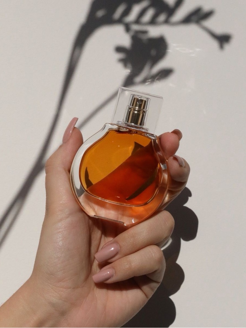 Kkw x Kendall Amber Discontinued